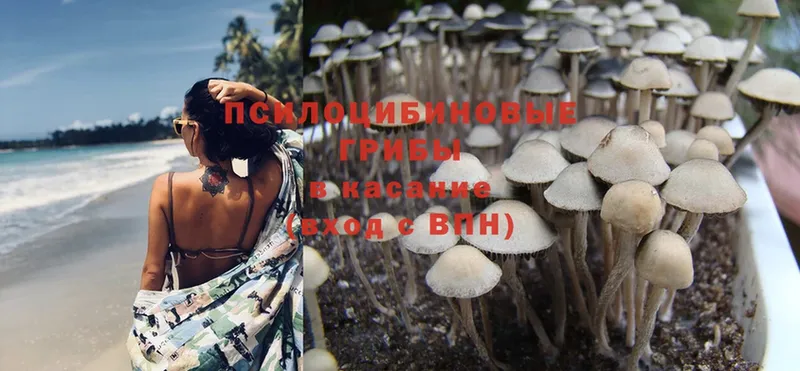 Галлюциногенные грибы Magic Shrooms  Калининск 